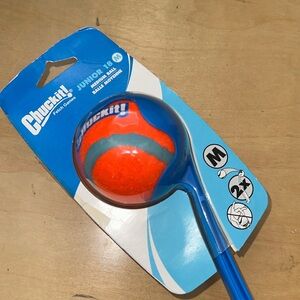 Chuck It! Fetch Stick with Ball- Medium